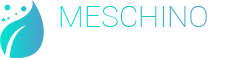 Meschino Natural Health Assessment